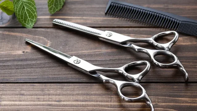 シザー（はさみ）