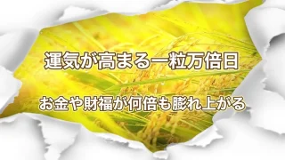 一粒万倍日