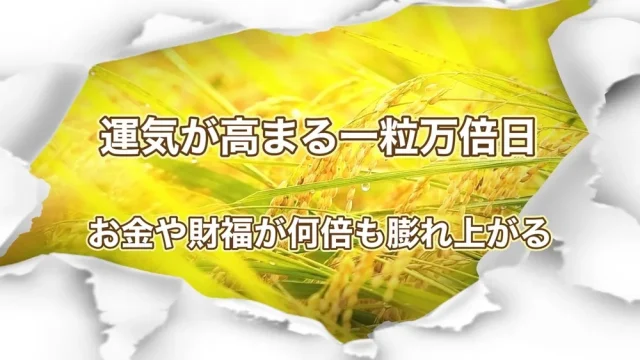 一粒万倍日