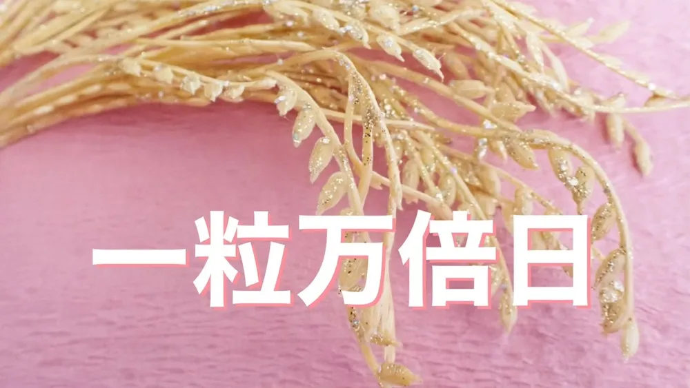 一粒万倍日