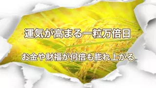 一粒万倍日