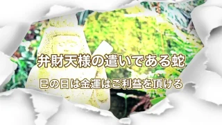 巳の日