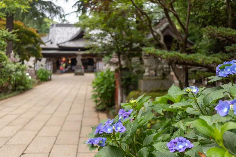 大宝八幡宮
