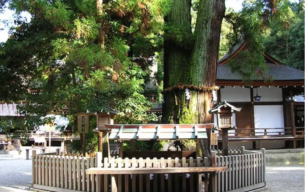 大神神社