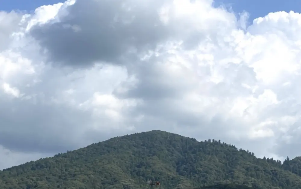 三輪山の大神神社
