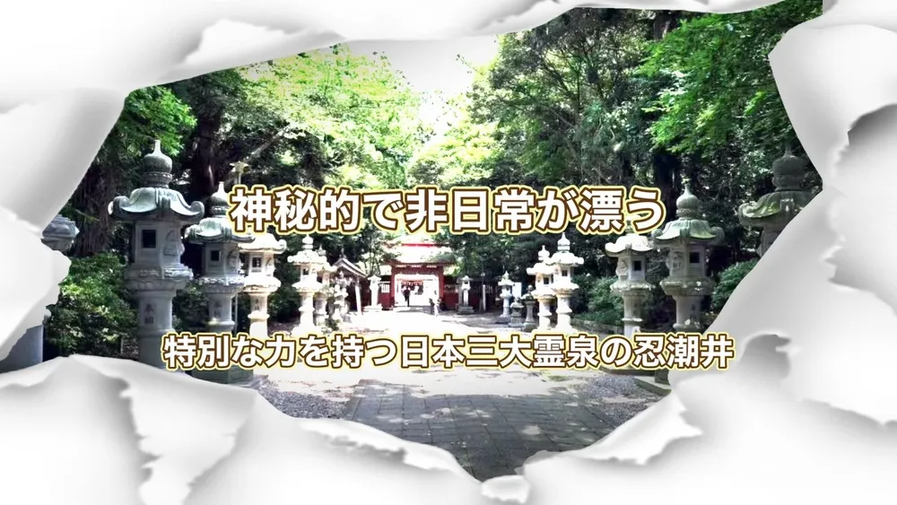 息栖神社