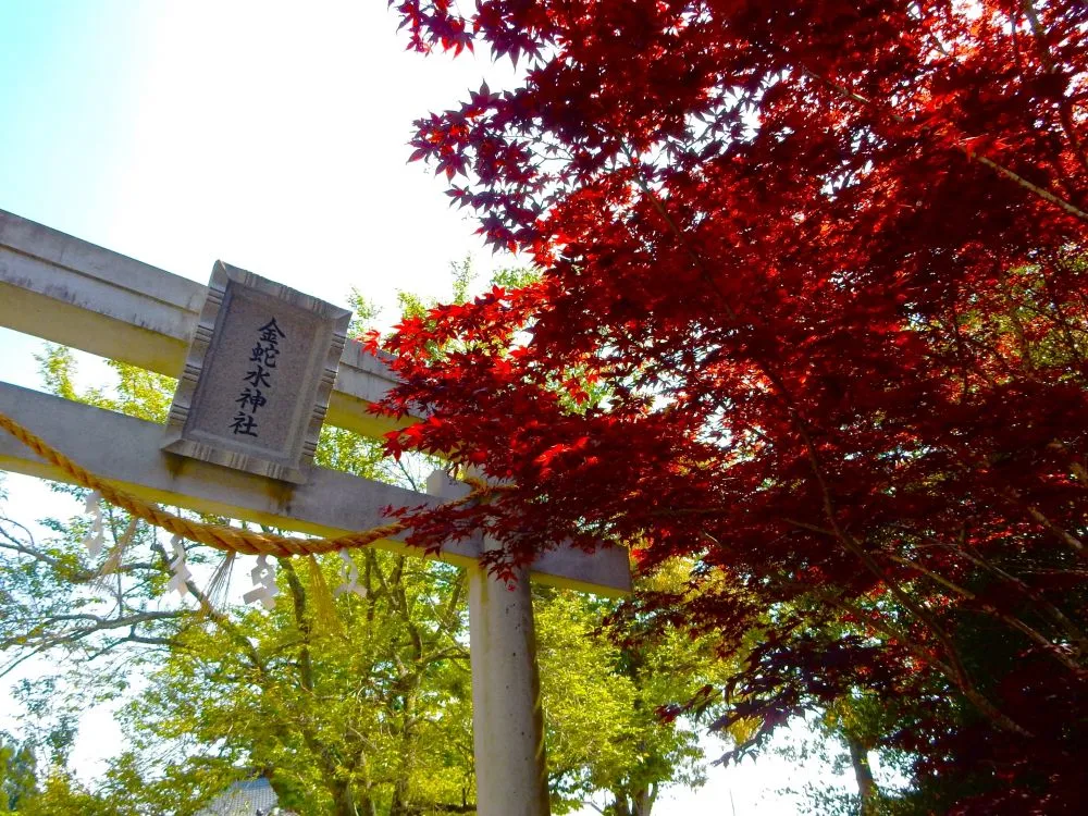 金蛇水神社