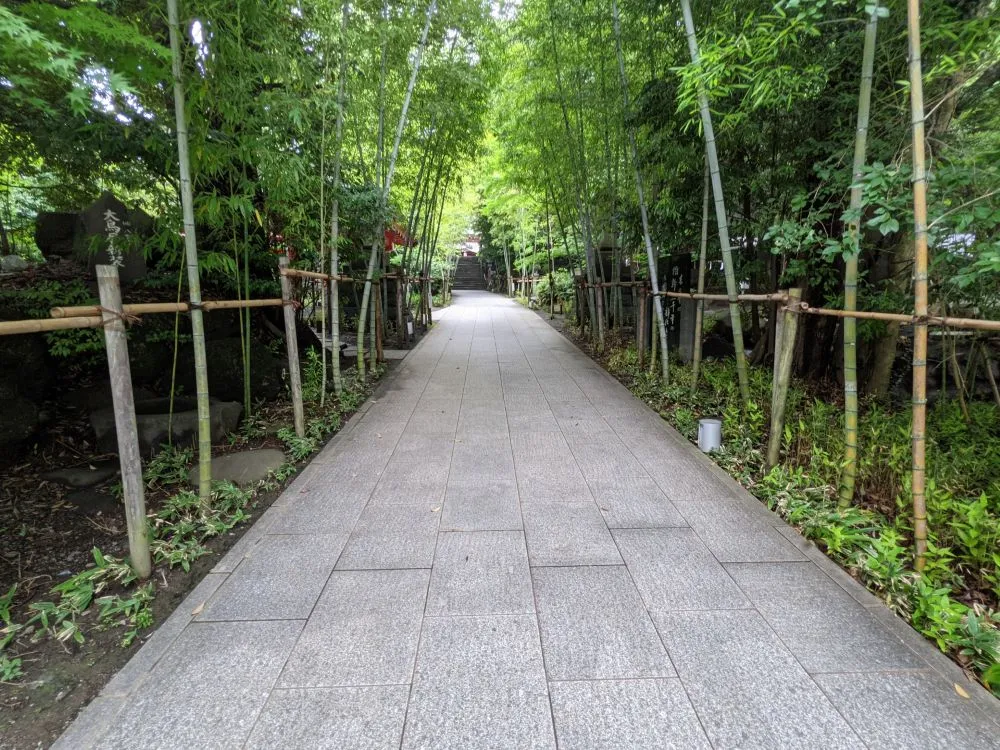 来宮神社の参道