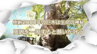 来宮神社