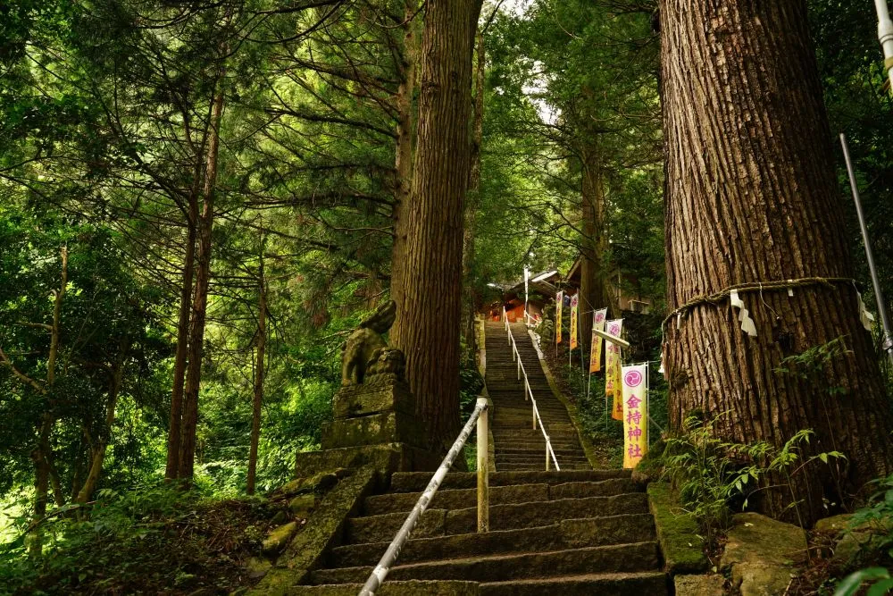 金持神社の参道