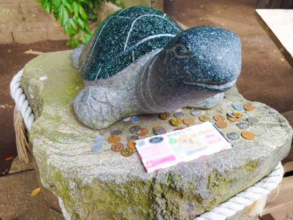 幸運の亀