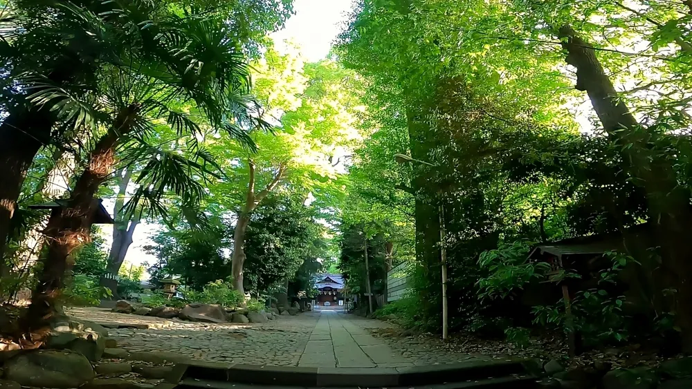 代々木八幡宮(参道)