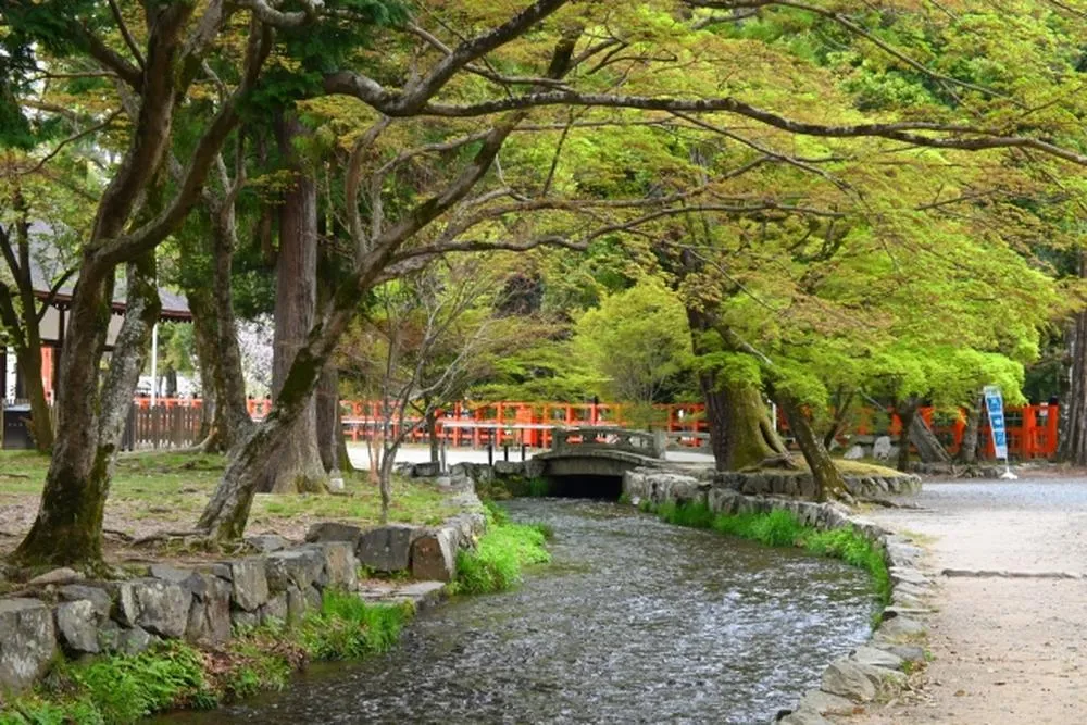 上賀茂神社