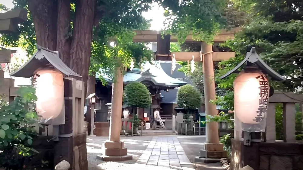 小野照崎神社