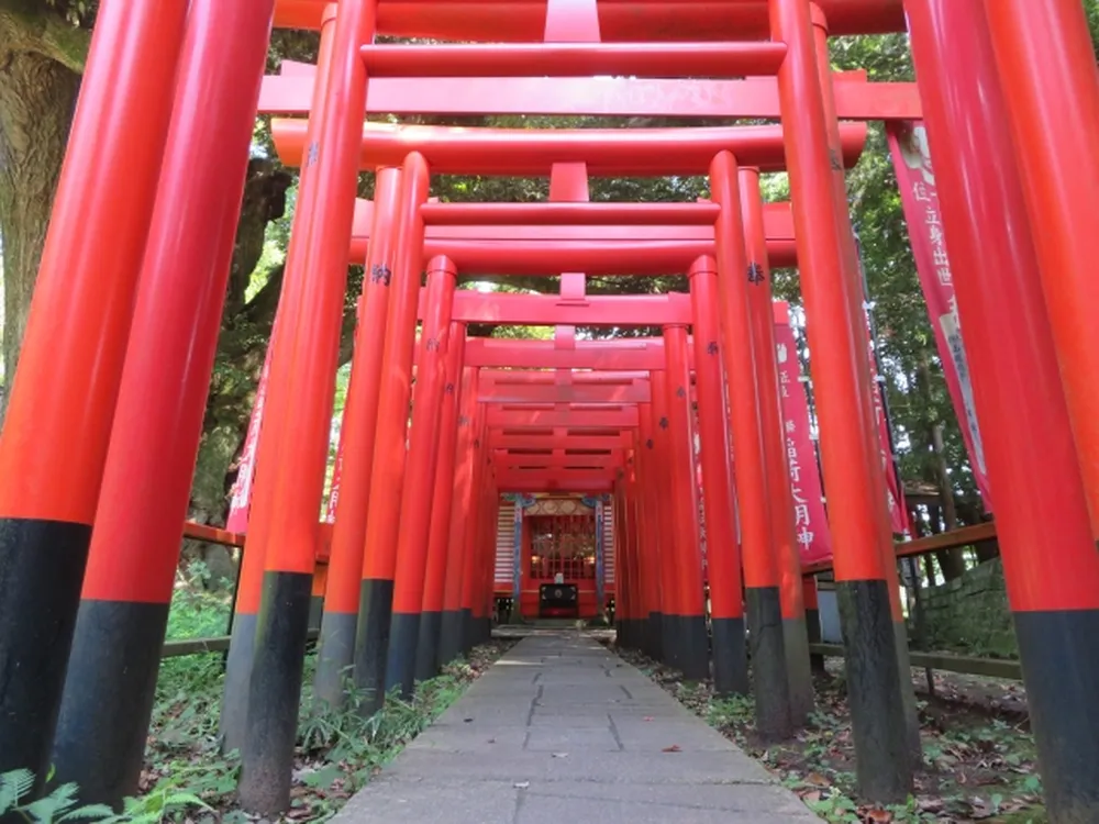 大杉神社