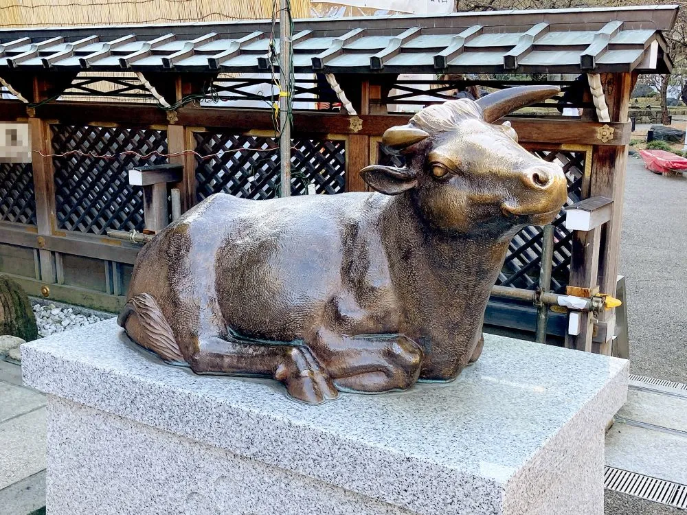 湯島天神(撫で牛)