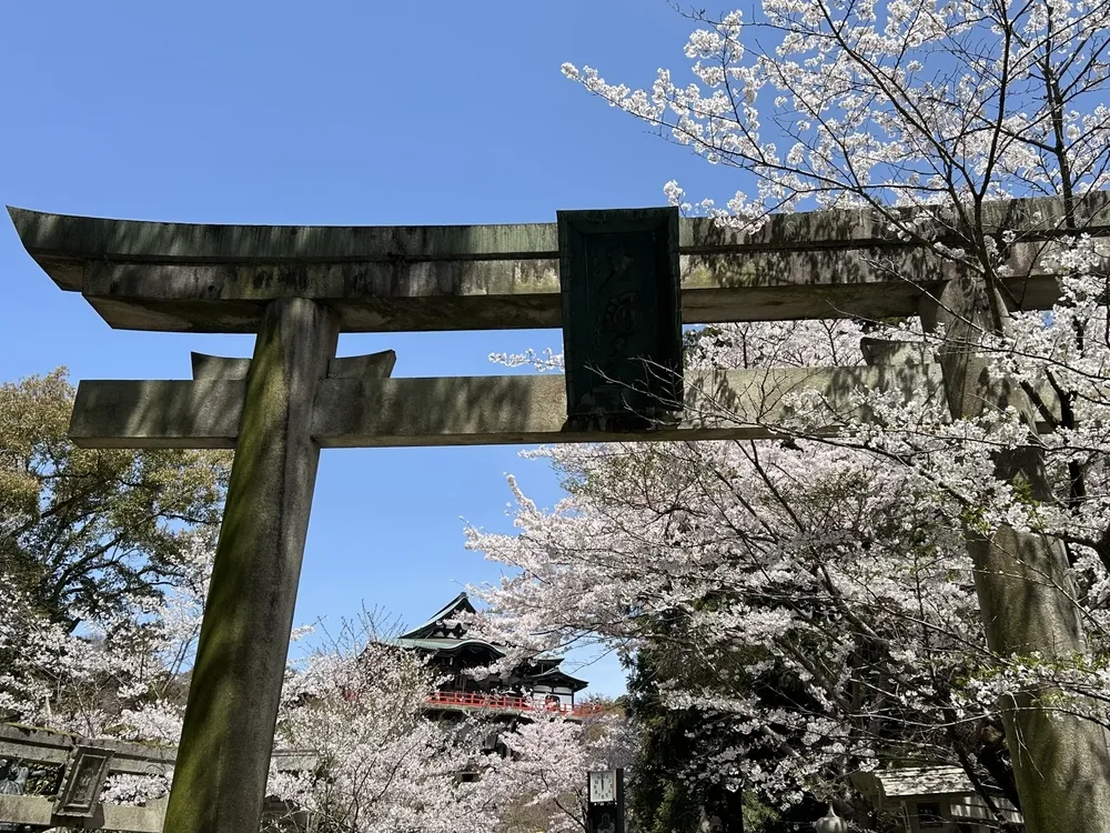 朝護孫子寺