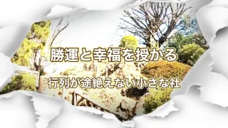 鳩森八幡神社