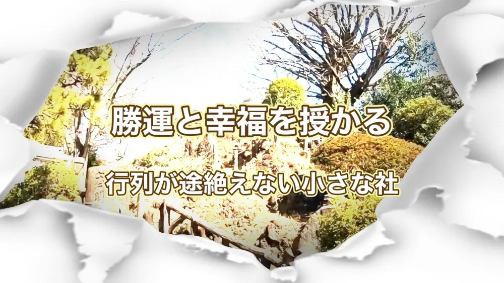 鳩森八幡神社