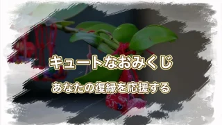 赤坂氷川神社