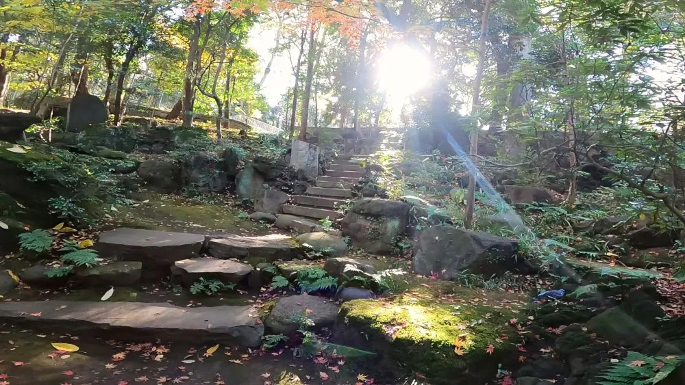 赤坂氷川神社
