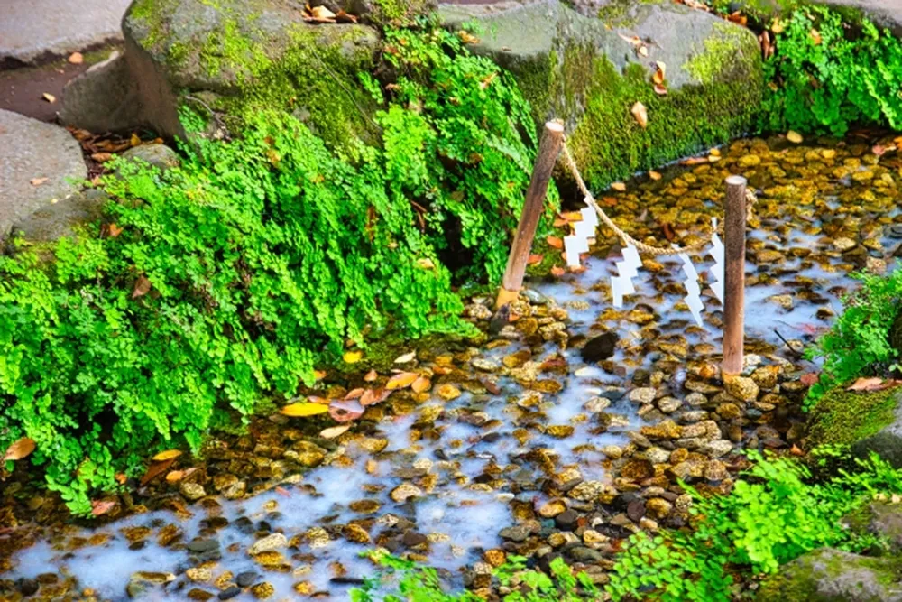 川越氷川神社
