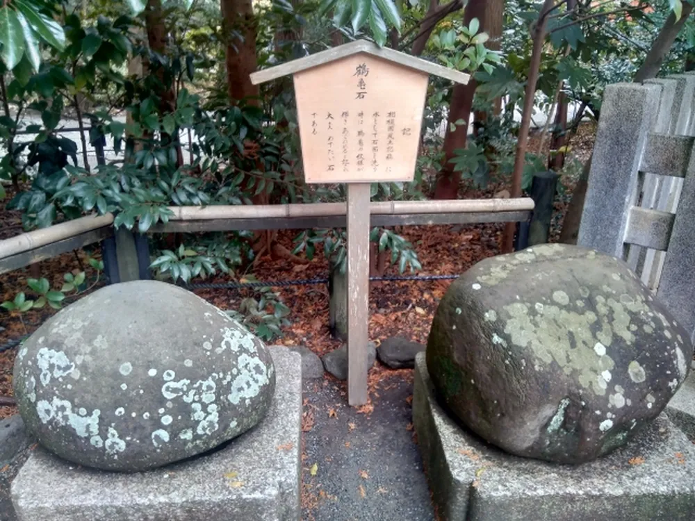 鶴岡八幡宮（鶴亀石）