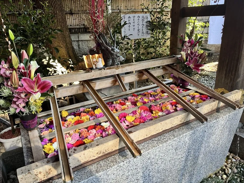 東京大神宮(花手水)