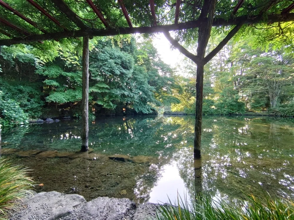 富士山本宮浅間大社(湧玉池)