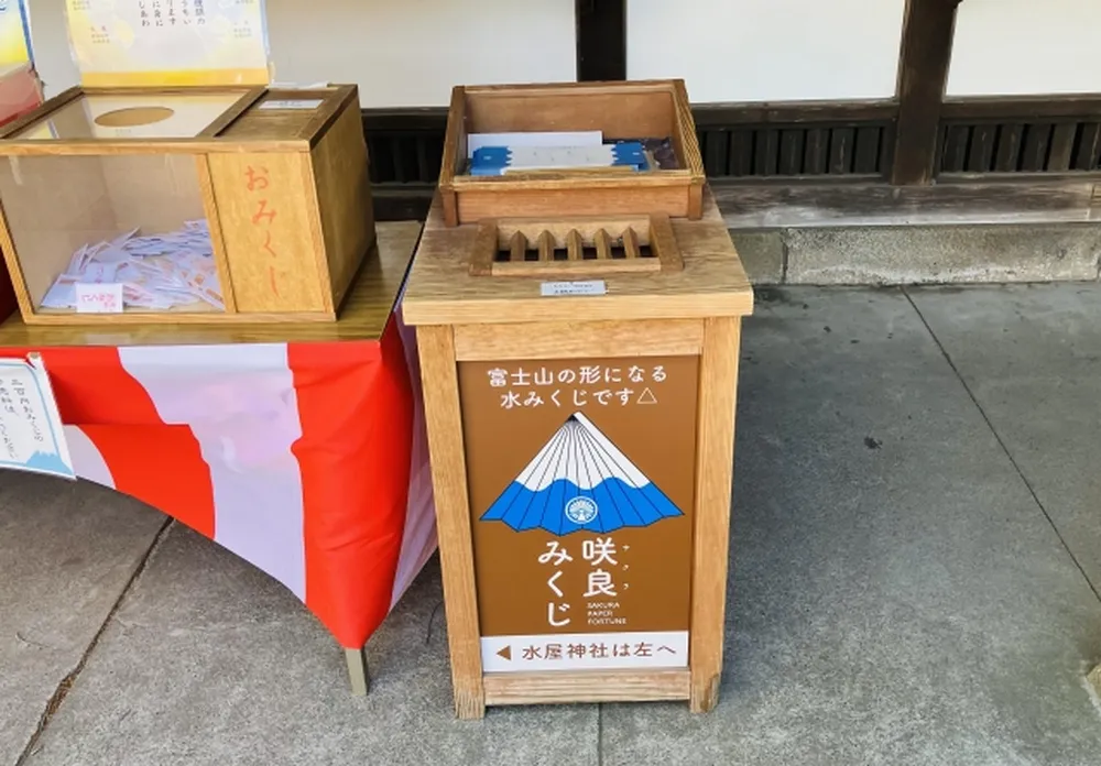咲良みくじ
