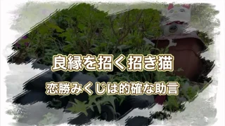 今戸神社