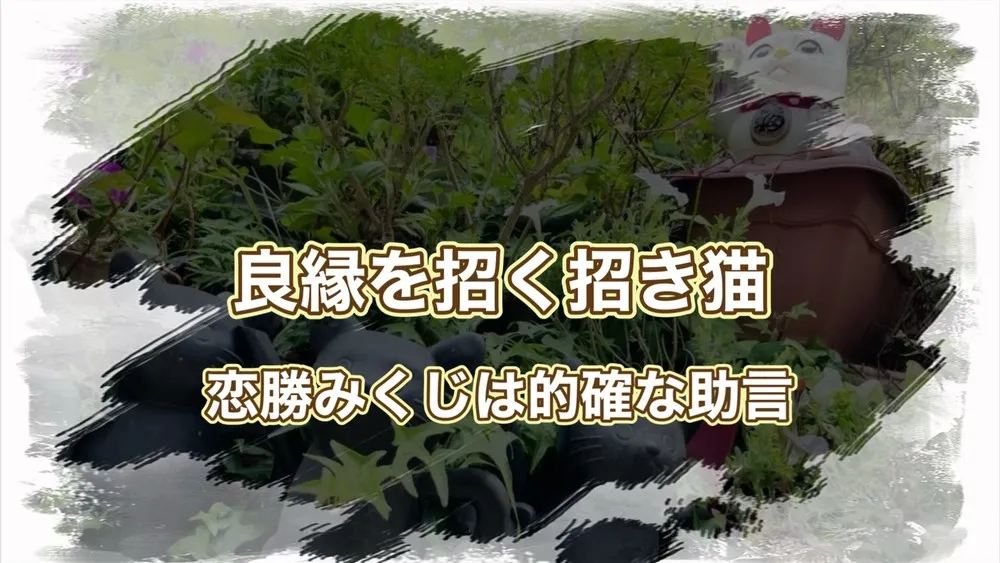 今戸神社