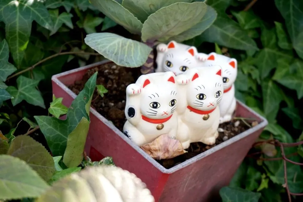 今戸神社（招き猫）