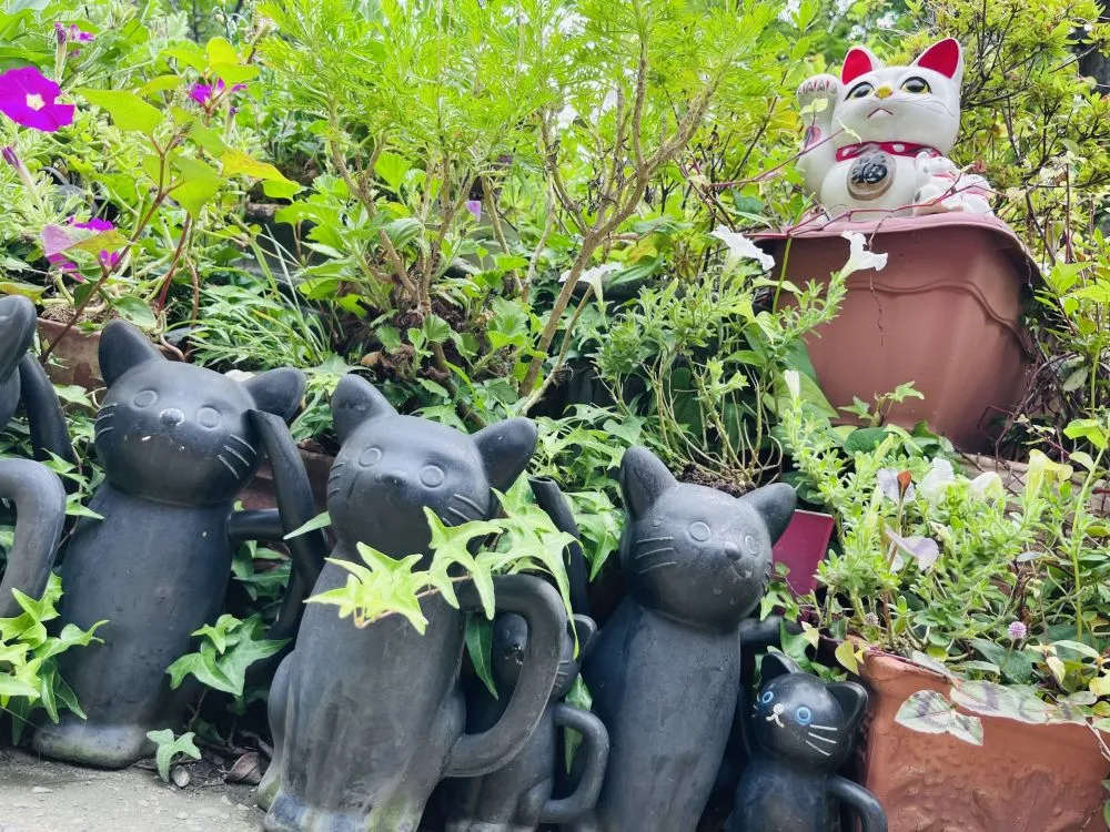 今戸神社（招き猫）