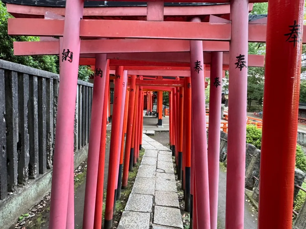 根津神社（千本鳥居）