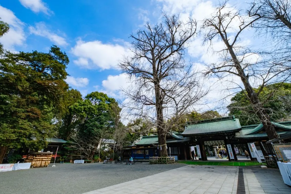 大宮八幡宮(夫婦銀杏)