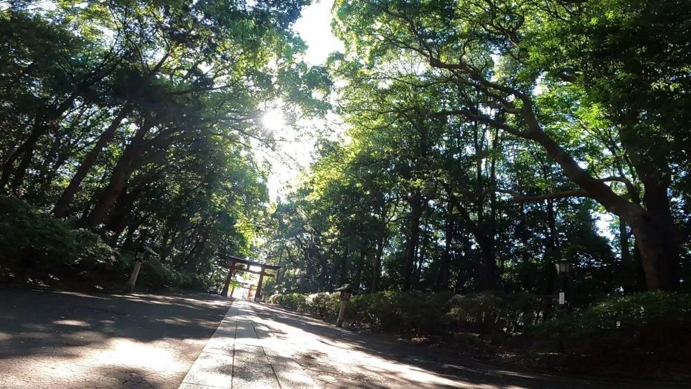 大宮八幡宮