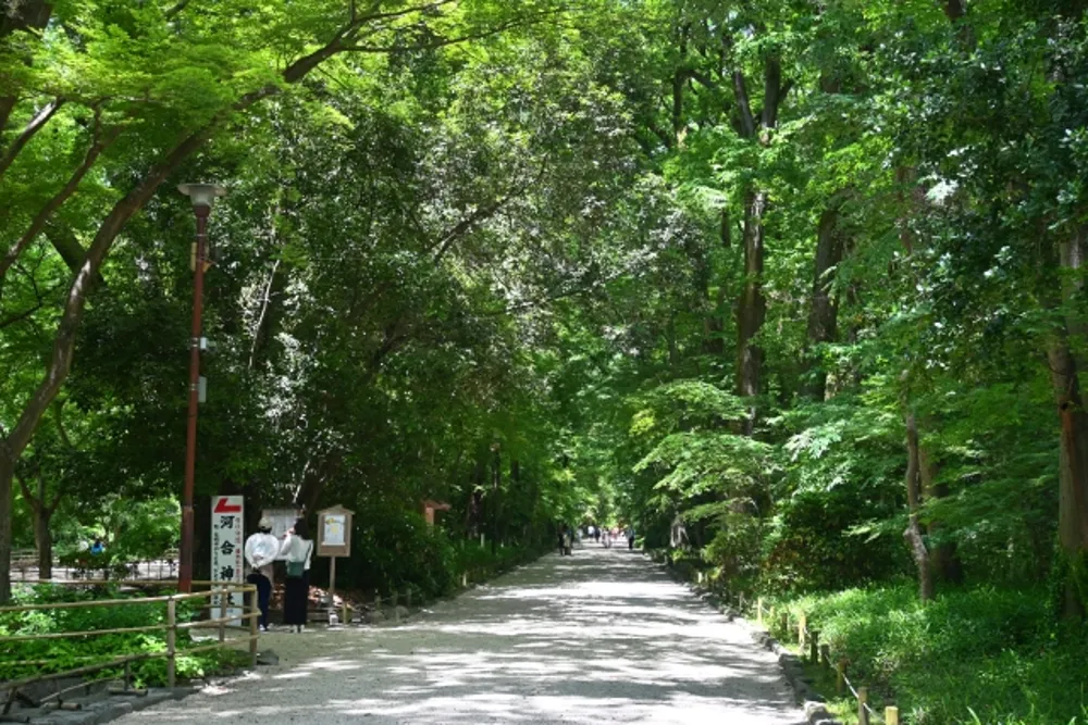 下鴨神社(参道)