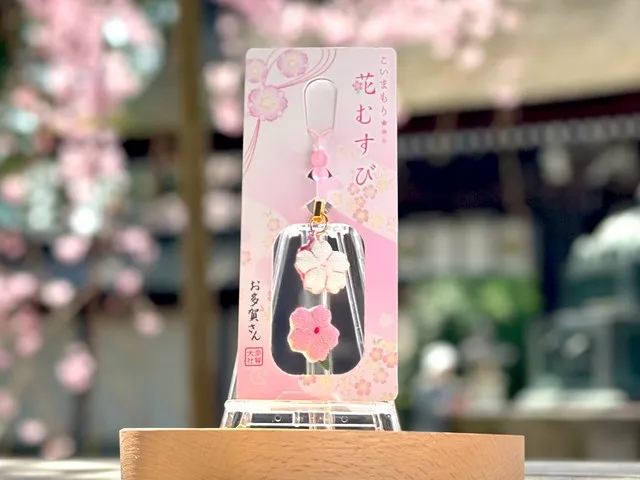 多賀大社(花むすび)