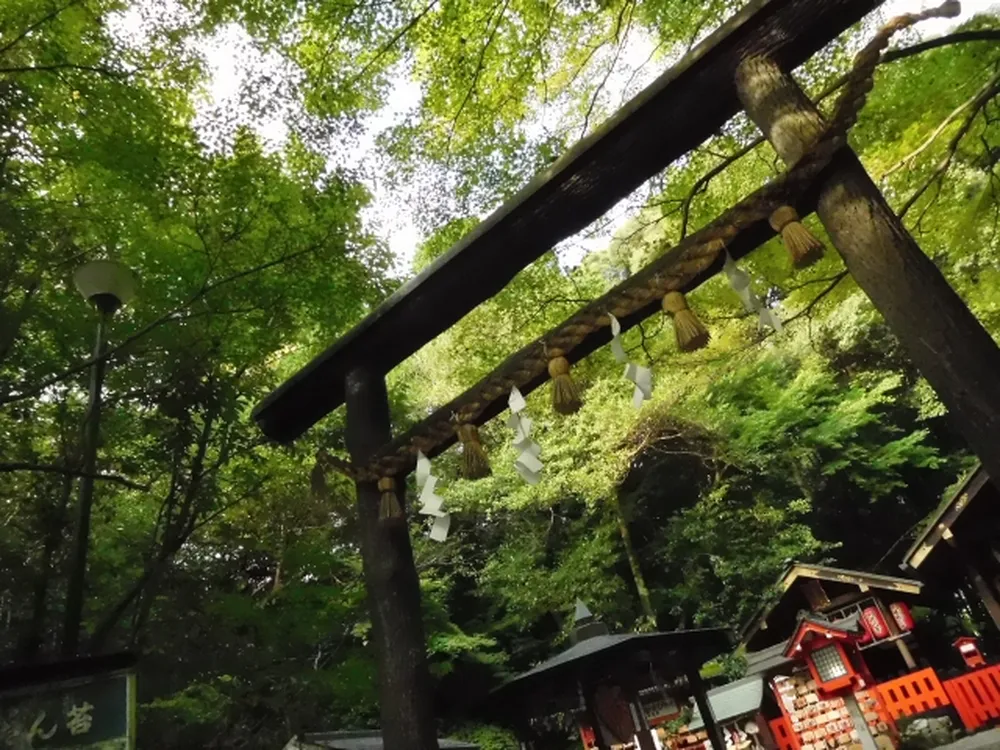 野宮神社(黒木鳥居)