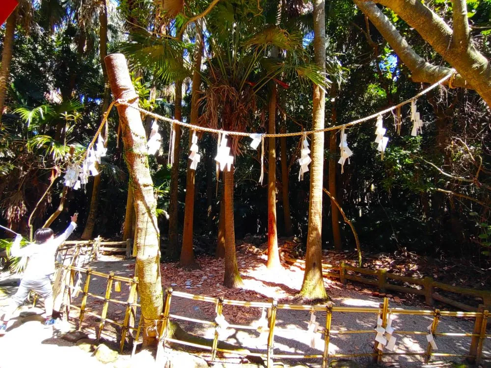 青島神社(天の平瓮投)