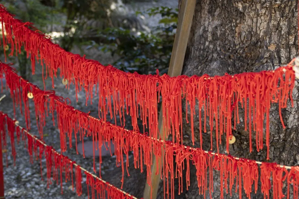 三輪神社(縁結びの木)