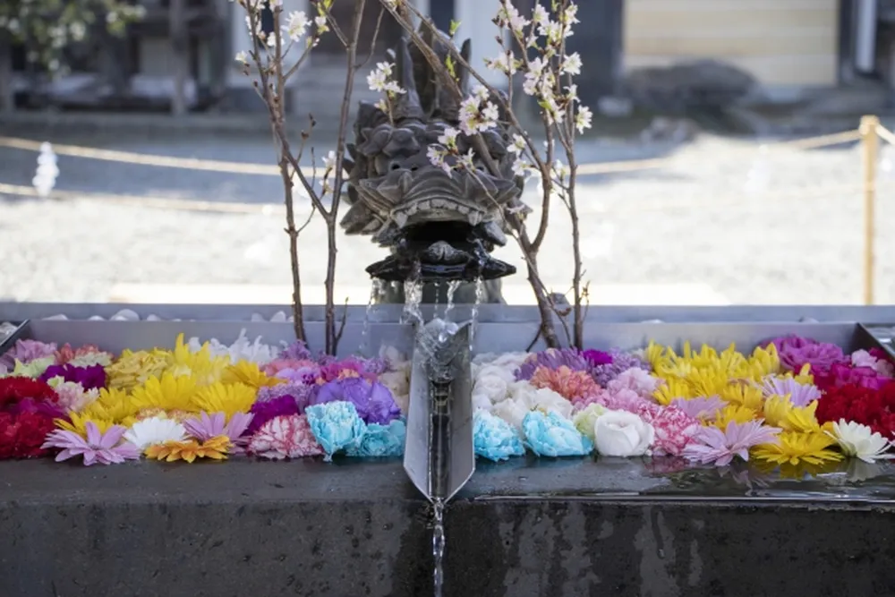 南宮大社(花手水)