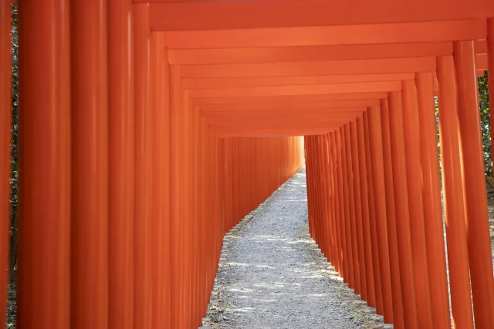 南宮大社(千本鳥居)