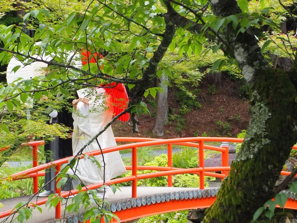 大原野神社(こいばし)