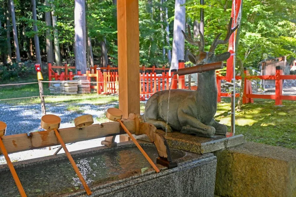 大原野神社(手水舎)