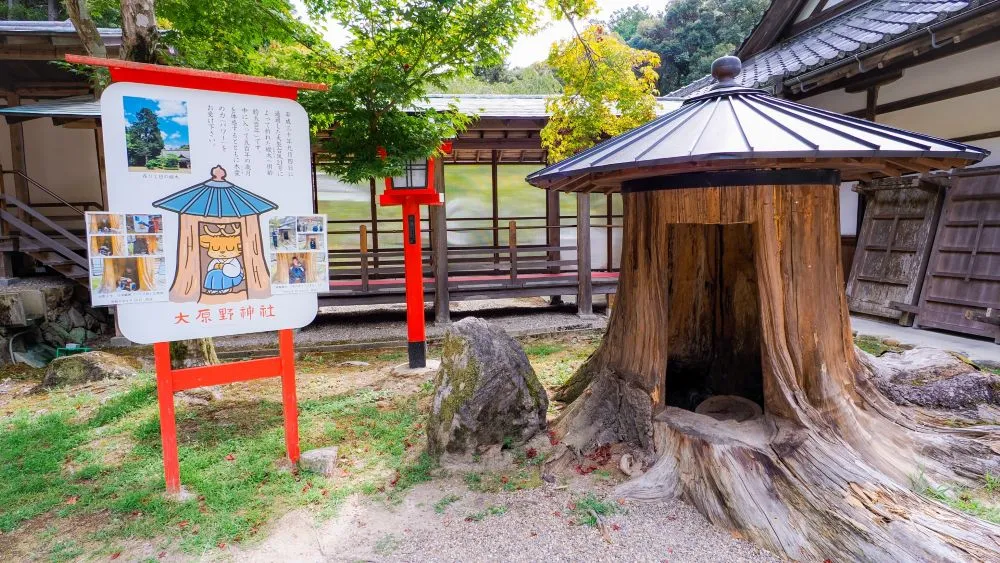 大原野神社(モミの神木跡)