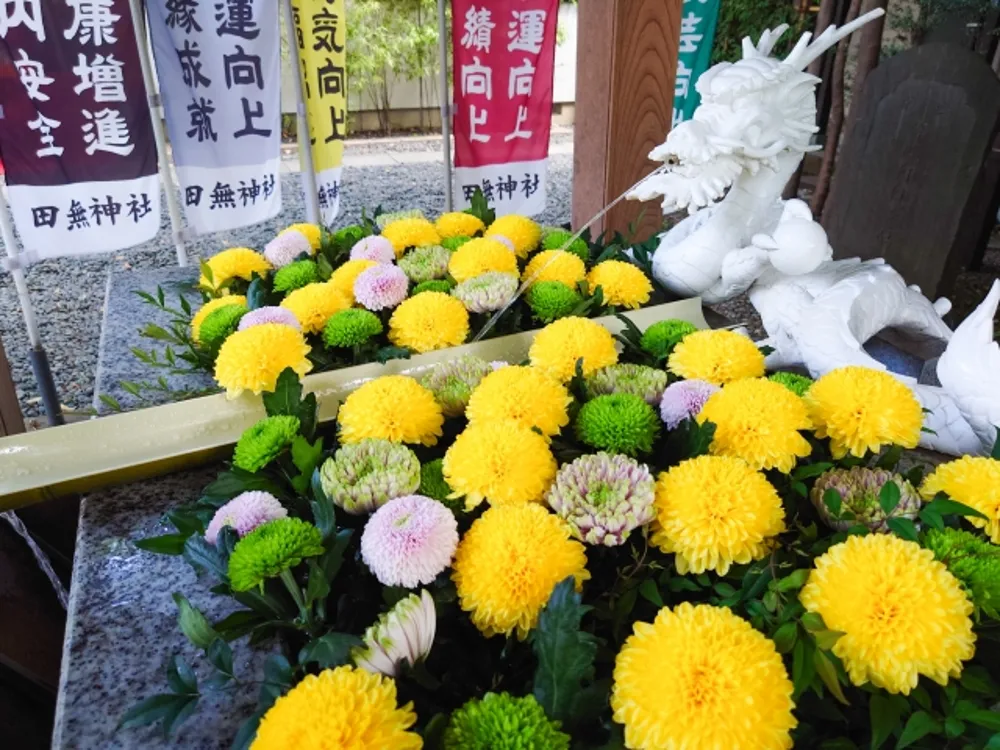 田無神社（花手水）