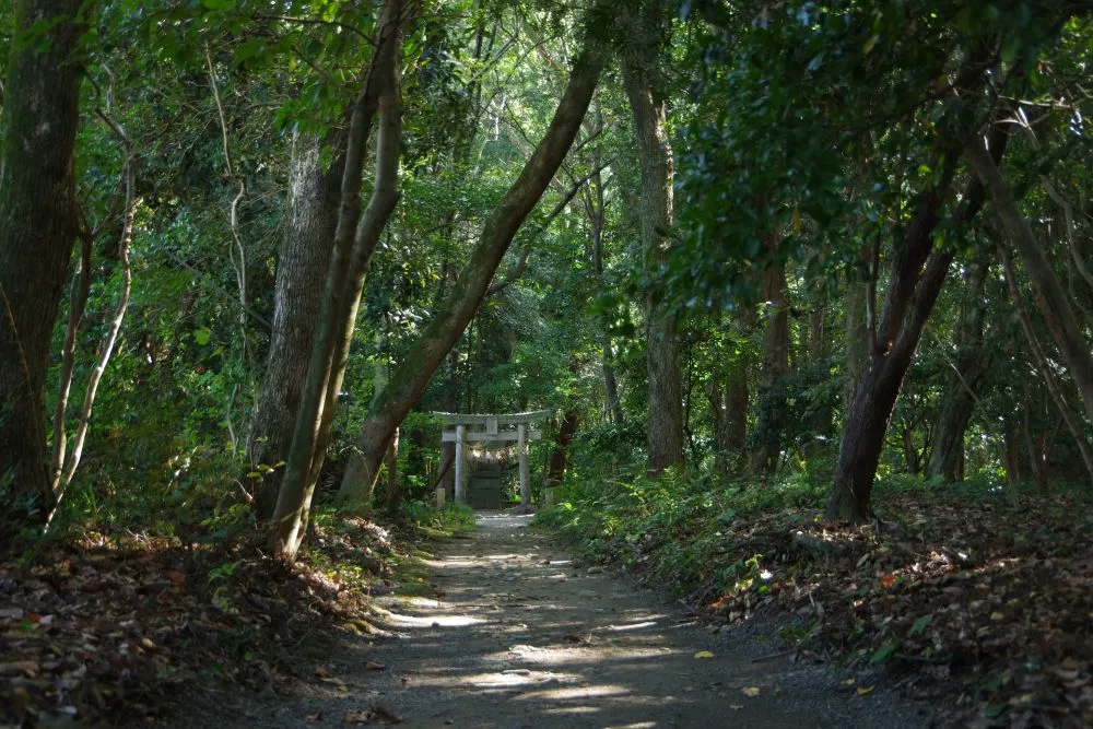 宗像大社（鎮守の森）