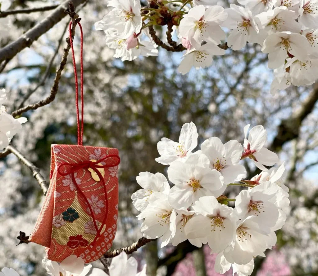 上賀茂神社（桜のかおり守り）